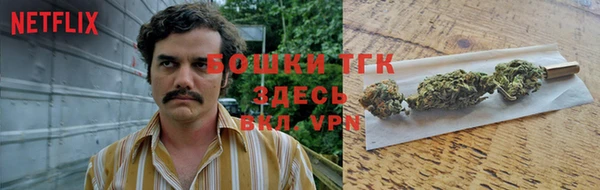 ГАЛЛЮЦИНОГЕННЫЕ ГРИБЫ Абаза